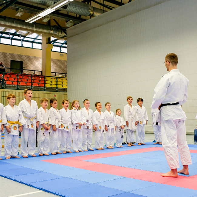 Judo und Sportverein Pirna Copitz e.V. - Galerie - Gürtelprüfung im November 2018