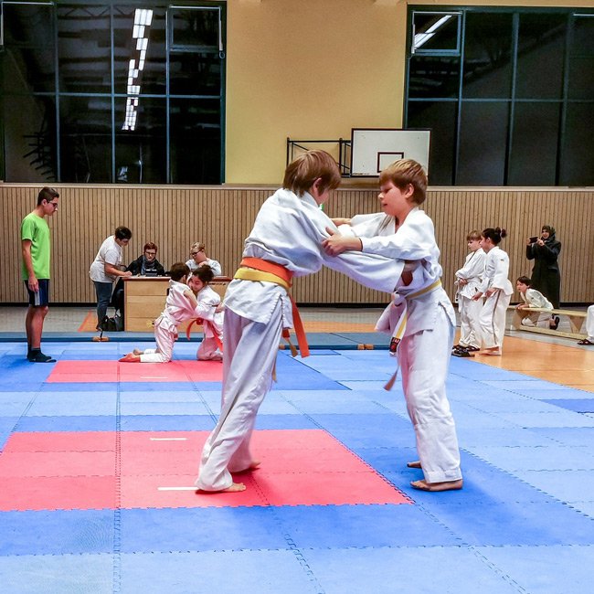 Judo und Sportverein Pirna Copitz e.V. - Galerie - Weihnachtsvereinsrandori Dezember 2019