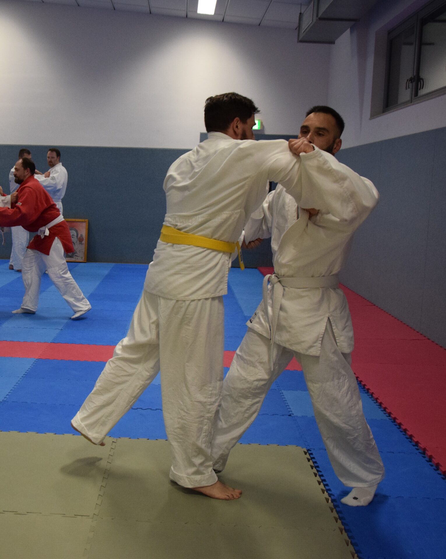 2026_02_Erwachsenentraining_2 2026_02_Erwachsenentraining_2